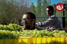 بهترین فیلم‌های سینمایی «محسن تنابنده» در دهۀ 80