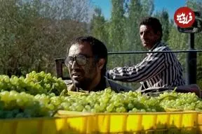 بهترین فیلم‌های سینمایی «محسن تنابنده» در دهۀ 80