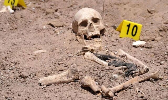 کشف بقایای ۱۵ جسد از یک گور جمعی در نجف