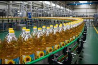ببینید؛ روغن آفتابگردان چگونه تولید می شود؟