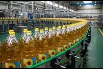 ببینید؛ روغن آفتابگردان چگونه تولید می شود؟
