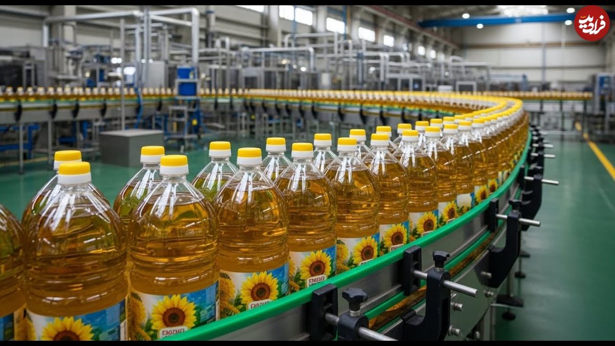 ببینید؛ روغن آفتابگردان چگونه تولید می شود؟