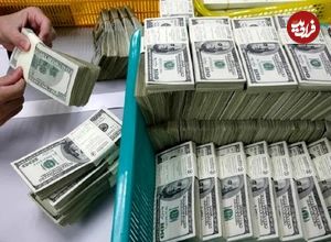 کشف ۱۳۸ میلیارد ارز قاچاق و ۲ میلیون دینار تقلبی