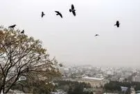 پیشبینی آب و هوای ایران از دوشنبه ۱۳ بهمن / یک روز انتقالی مهم