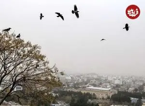 پیشبینی آب و هوای ایران از دوشنبه ۱۳ بهمن / یک روز انتقالی مهم