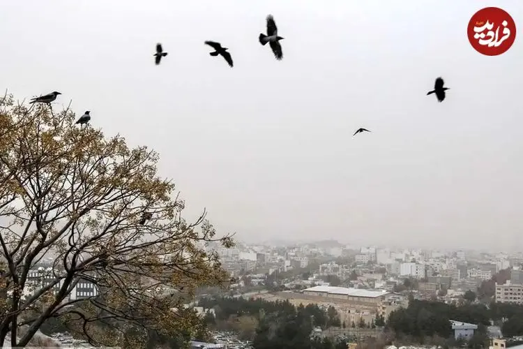 پیشبینی آب و هوای ایران از دوشنبه ۱۳ بهمن / یک روز انتقالی مهم