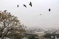پیشبینی آب و هوای ایران از دوشنبه ۱۳ بهمن / یک روز انتقالی مهم