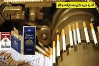 (ویدئو) فرآیند برداشت صدها تن تنباکو و تولید میلیاردها سیگار در یک کارخانه مشهور