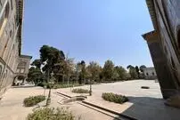 افسانه چنار عباسعلی