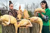 ببینید| غذای روستایی در اوکراین؛ پخت اردک در ظروف شیشه ای در روستا