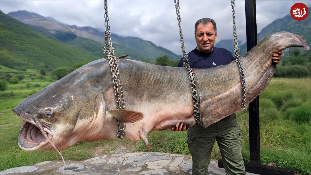 ببینید| غذای روستایی در آذربایجان؛ کباب کردن گربه ماهی بزرگ در تنور زیر زمینی