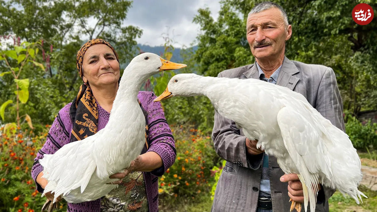 (ویدئو) غذای روستایی در آذربایجان؛ پخت غذا با اردک توسط یک زوج مسن