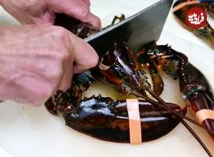 ببینید| غذای خیابانی در آمریکا؛ پخت غذا با صدف، لابستر و رشته فرنگی در نیویورک