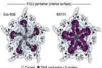 ساخت ویروس توسط هوش مصنوعی که در طبیعت وجود ندارد!
