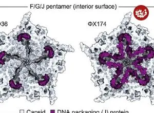 ساخت ویروس توسط هوش مصنوعی که در طبیعت وجود ندارد!