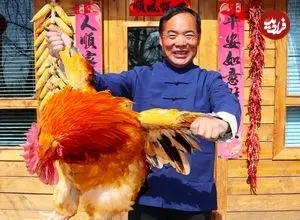 ببینید| غذای روستایی در چین؛ پخت یک غذای سنتی با گوشت خروس