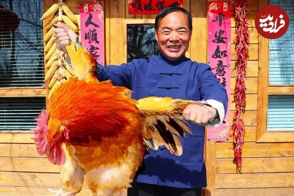 ببینید| غذای روستایی در چین؛ پخت یک غذای سنتی با گوشت خروس