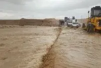 (ویدئو) سیل مازندران یک خرس را با خودش برد!