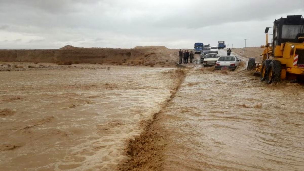 (ویدئو) سیل مازندران یک خرس را با خودش برد!