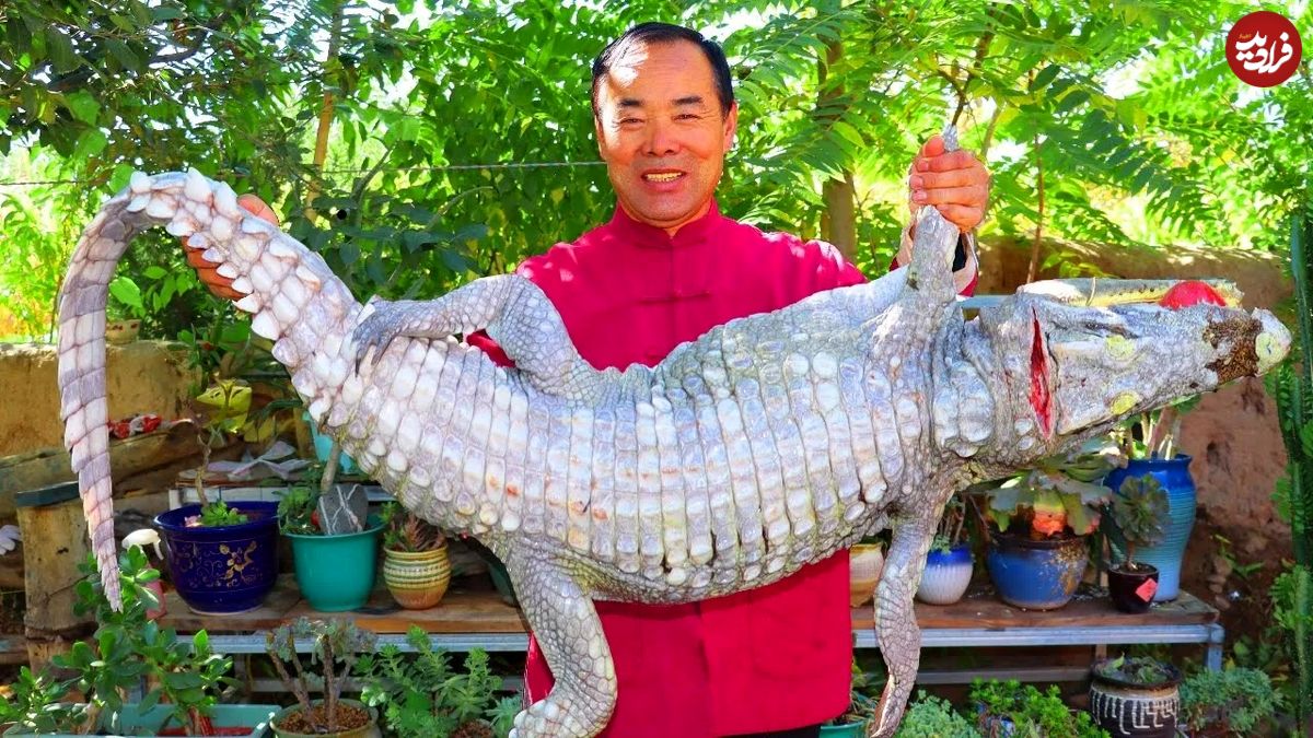 (ویدئو) غذای روستایی در چین؛ فرآیند پخت یک تمساح 35 کیلوگرمی