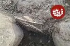 گردنبندهای 2500 ساله از بین سنگ‌های یک مقبره بیرون آمدند