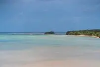 کشف جانور شش‌چشم نارنجی در جزیره‌ی دورافتاده‌ای در ژاپن 