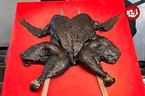 ببینید| غذای خیابانی در ایران؛ تهیه مرغ سیاه کبابی با سس مخصوص