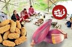 ببینید؛ غذای روستایی در هند؛ پخت یک غذای سنتی بنگالی با شکوفه موز