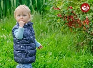 چرا موهای روشن کودکان، با افزایش سن تیره می‌شود؟