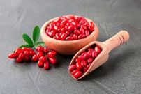 بربرین چیست و چرا در طب سنتی و پزشکی مدرن محبوب شده است؟