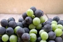 خوراکی‌هایی با رنگ «بنفش» چه خواصی برای سلامتی دارند؟