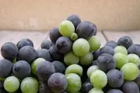 خوراکی‌هایی با رنگ «بنفش» چه خواصی برای سلامتی دارند؟