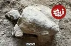 «لاک‌پشت‌های سنگی 16 هزار ساله» از یک غار بیرون آمدند