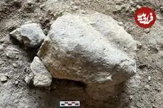 «لاک‌پشت‌های سنگی 16 هزار ساله» از یک غار بیرون آمدند