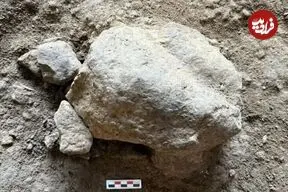 «لاک‌پشت‌های سنگی 16 هزار ساله» از یک غار بیرون آمدند