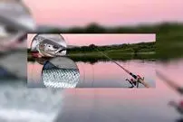 راهکار تشخیص ماهی سالمون دریا از ماهی پرورشی