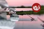 راهکار تشخیص ماهی سالمون دریا از ماهی پرورشی
