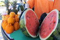 ببینید؛ غذای خیابانی در کره؛ برش زدن هندوانه، آناناس، مرکبات و تهیه آبمیوه در جزیره ججو