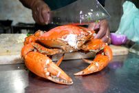 ببینید؛ غذای روستایی در سریلانکا؛ پخت انواع غذا باخرچنگ، ماهی و ماهی مرکب