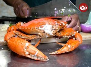 ببینید؛ غذای روستایی در سریلانکا؛ پخت انواع غذا باخرچنگ، ماهی و ماهی مرکب