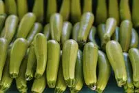 مصرف مرتب «کدو سبز» چه تاثیری روی بدن می‌گذارد؟