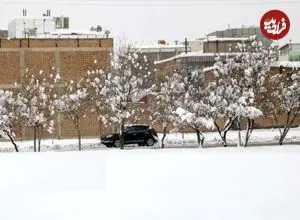 پیشبینی آب و هوای ایران از دوشنبه ۶ بهمن / خبرها تا چهارشنبه خوش نیست