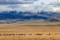 عکس؛ دیگر دیوار بزرگ آسیا؛ کشف بقایای سازه‌ای قرون وسطایی در قلب مغولستان 