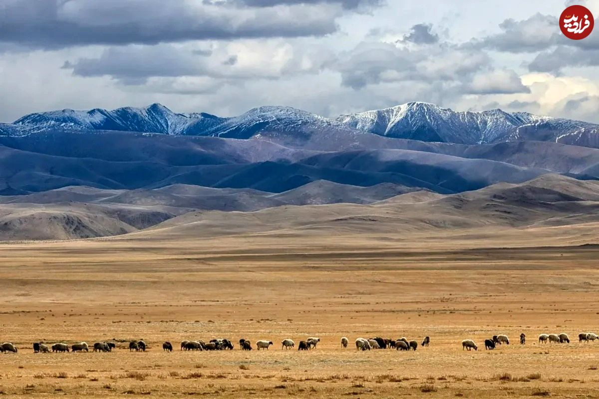 عکس؛ دیگر دیوار بزرگ آسیا؛ کشف بقایای سازهای قرون وسطایی در قلب مغولستان