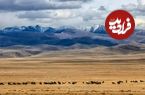 عکس؛ دیگر دیوار بزرگ آسیا؛ کشف بقایای سازه‌ای قرون وسطایی در قلب مغولستان 
