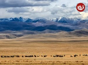 عکس؛ دیگر دیوار بزرگ آسیا؛ کشف بقایای سازه‌ای قرون وسطایی در قلب مغولستان 