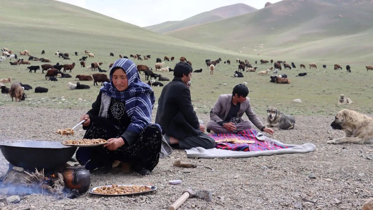 (ویدئو)  زندگی روستایی در افغانستان؛ مادر چوپان در حال جمع آوری قارچ وحشی و پختن آن در طبیعت