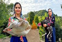 ببینید؛ غذای روستایی در ایران؛ کباب بوقلمون شکم پر در تنور