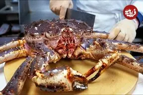 ببینید| غذای خیابانی در آمریکا؛ پخت 3 مدل غذا با شاه خرچنگ آلاسکایی در نیویورک