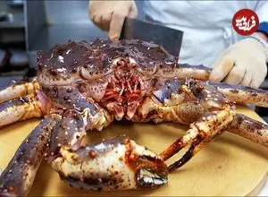 ببینید| غذای خیابانی در آمریکا؛ پخت 3 مدل غذا با شاه خرچنگ آلاسکایی در نیویورک